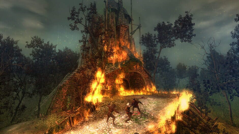 Screenshot from The Witcher: Enhanced Edition Director's Cut