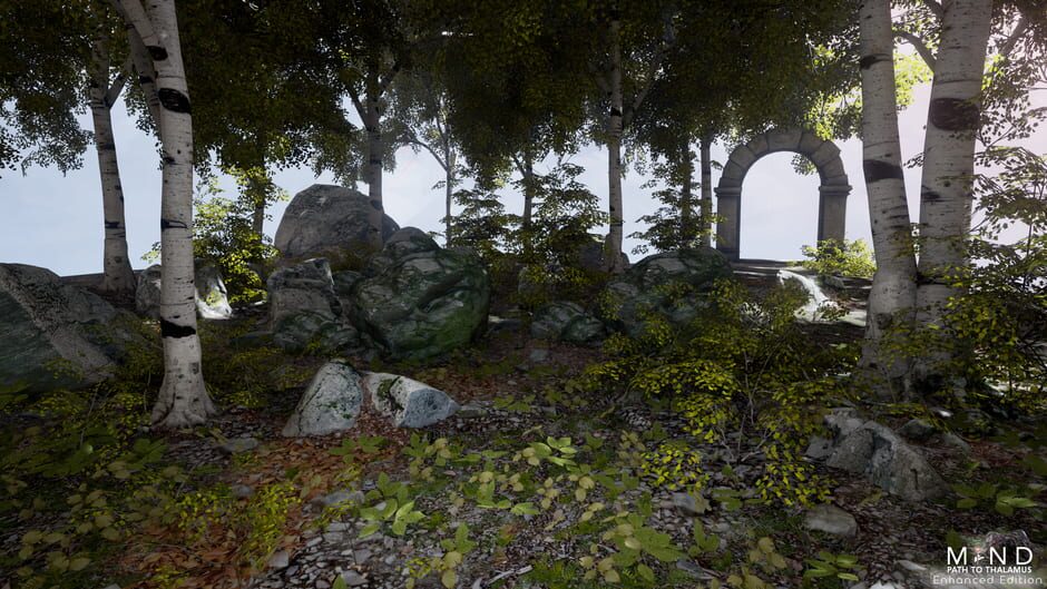 Screenshot from Mind: Path to Thalamus E.Edition