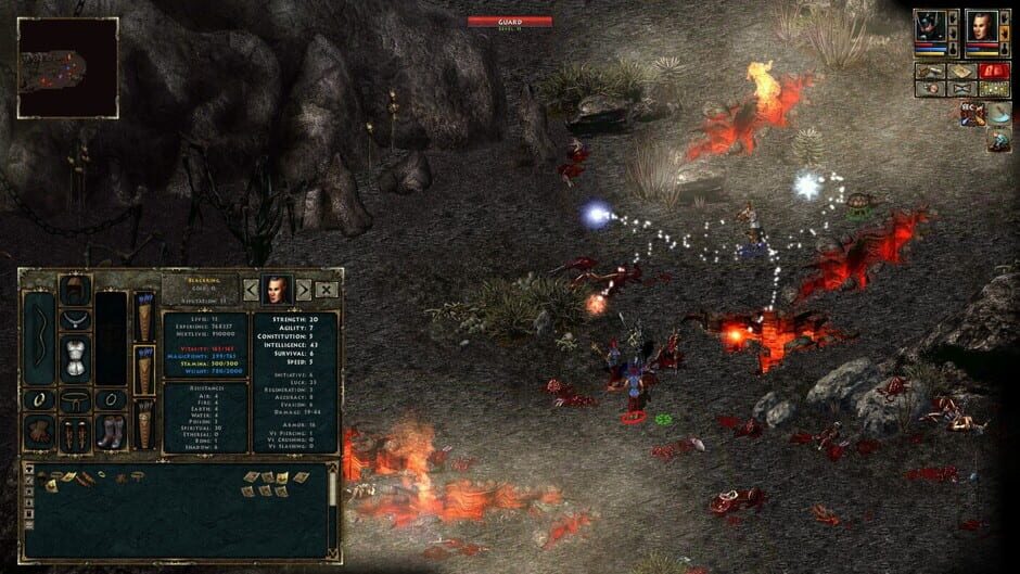 Screenshot from Beyond Divinity