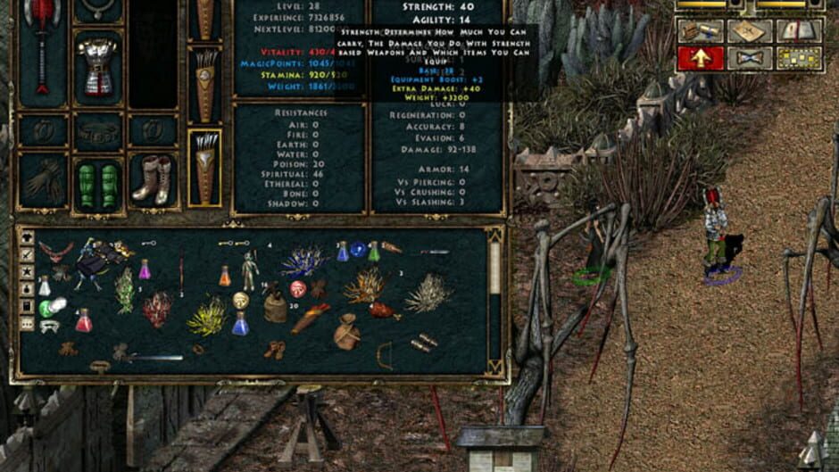 Screenshot from Beyond Divinity