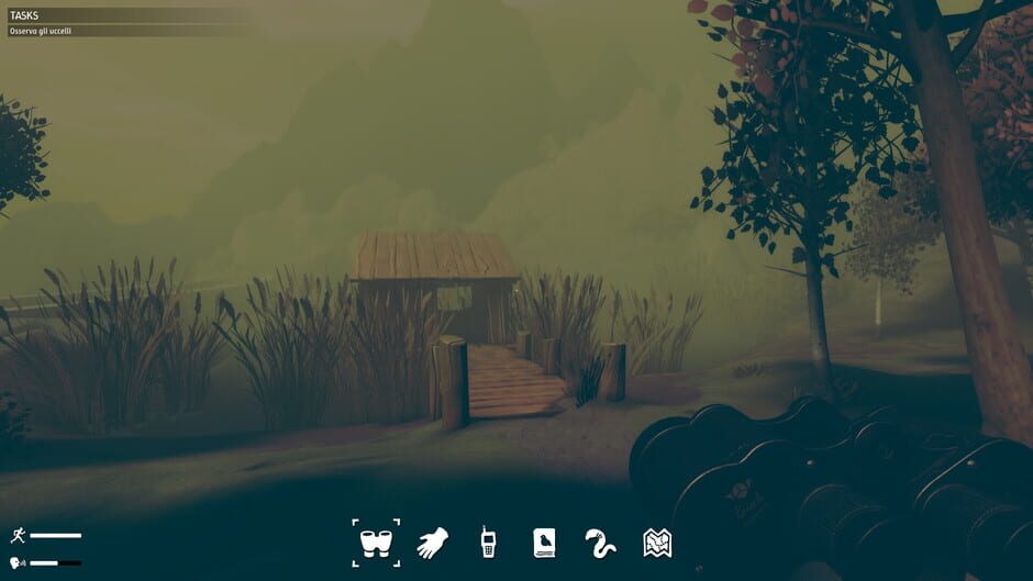 Screenshot from Birds Watching