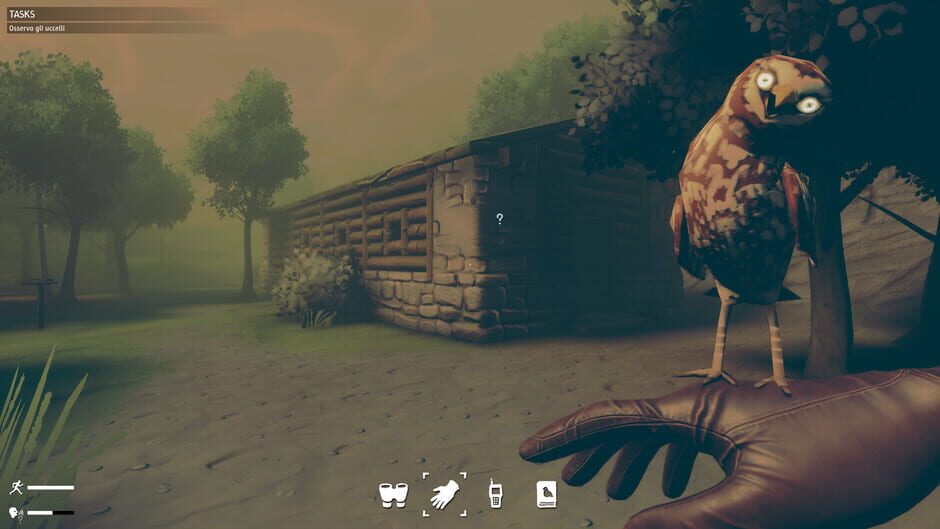 Screenshot from Birds Watching