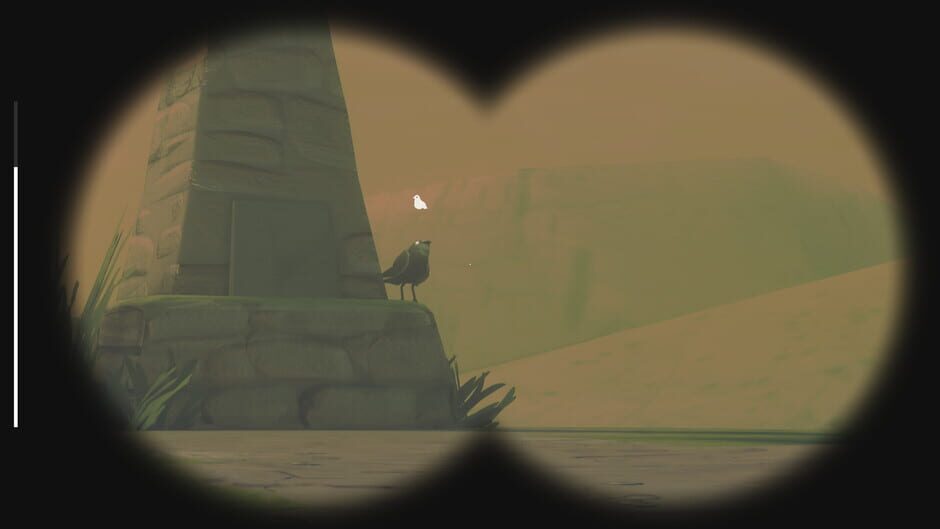 Screenshot from Birds Watching