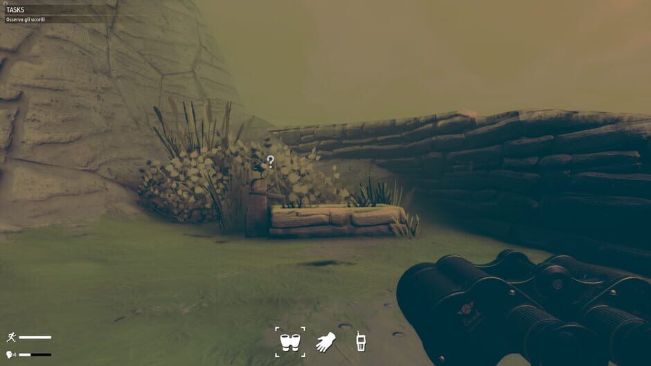 Screenshot from Birds Watching