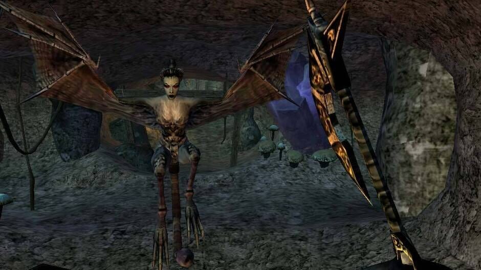 Screenshot from The Elder Scrolls III: Morrowind - Game of the Year Edition