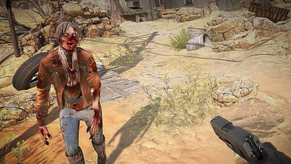 Screenshot from Arizona Sunshine