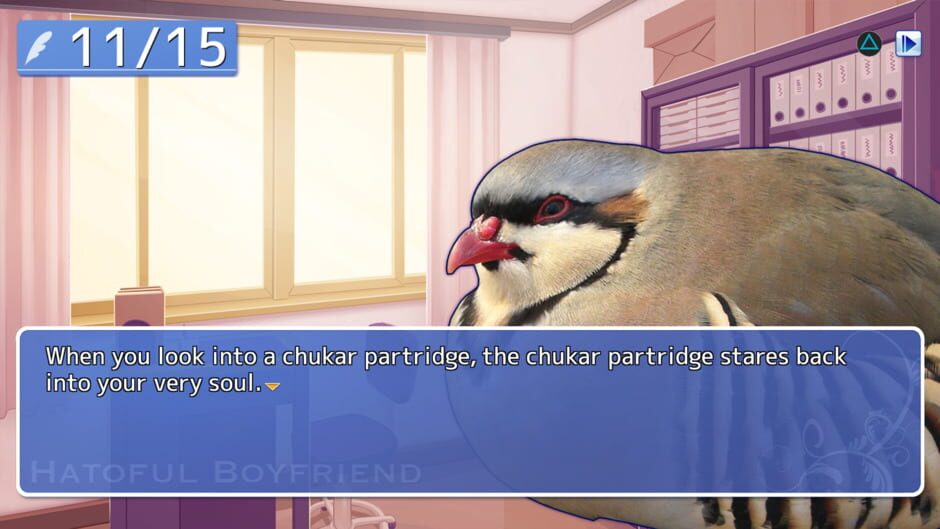 Screenshot from Hatoful Boyfriend