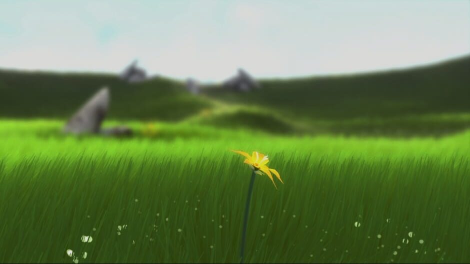 Screenshot from Flower
