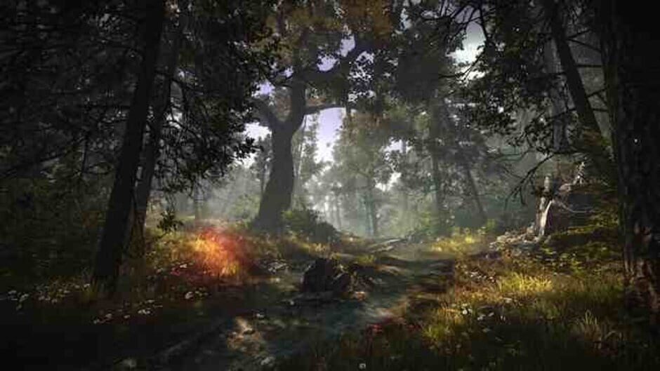 Screenshot from The Witcher 2: Assassins of Kings - Enhanced Edition