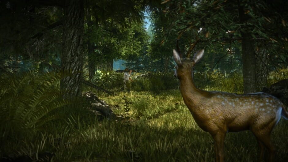 Screenshot from The Witcher 2: Assassins of Kings - Enhanced Edition