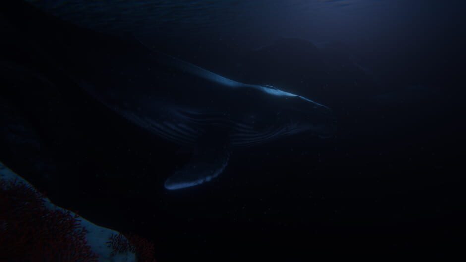 Screenshot from Beyond Blue