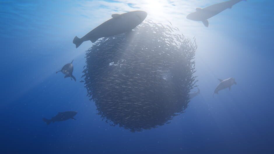 Screenshot from Beyond Blue