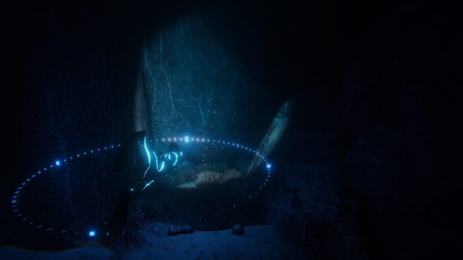 Screenshot from Beyond Blue