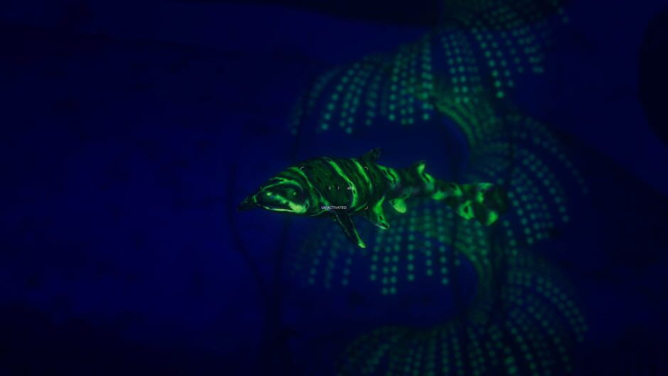 Screenshot from Beyond Blue