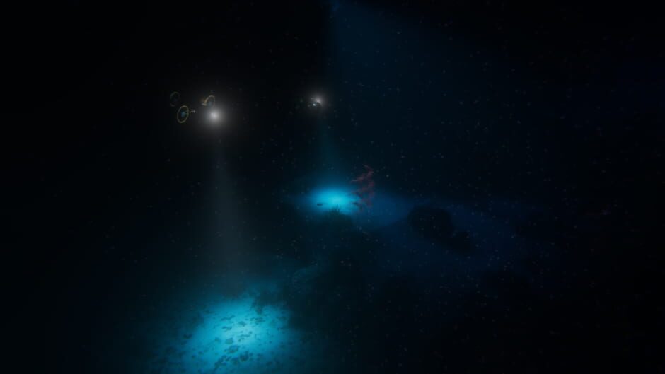 Screenshot from Beyond Blue
