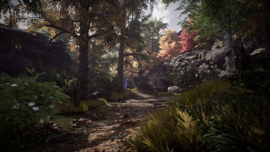 Screenshot from Relicta