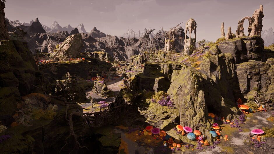 Screenshot from Avowed