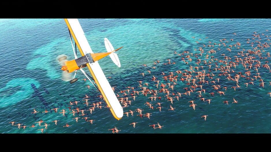 Screenshot from Microsoft Flight Simulator