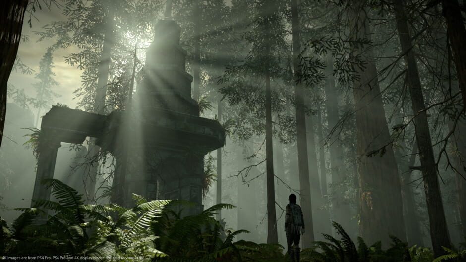 Screenshot from Shadow of the Colossus