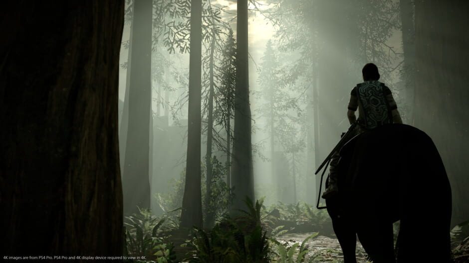 Screenshot from Shadow of the Colossus