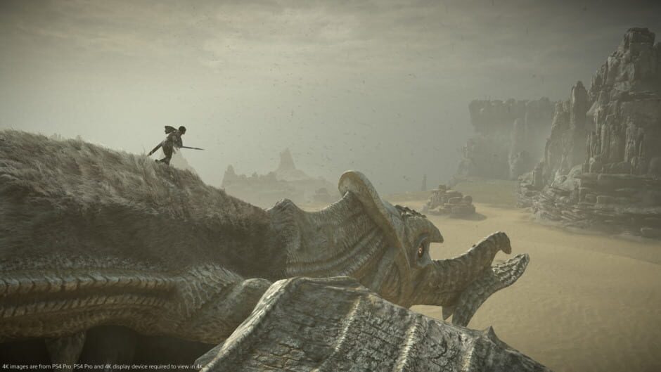 Screenshot from Shadow of the Colossus