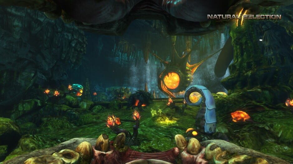 Screenshot from Natural Selection 2