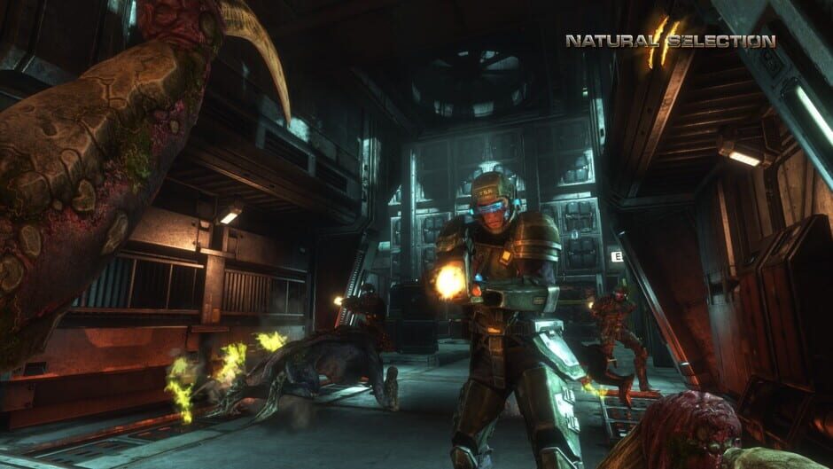 Screenshot from Natural Selection 2