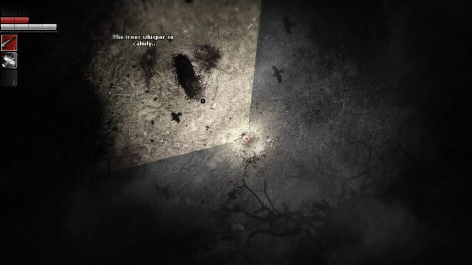 Screenshot from Darkwood