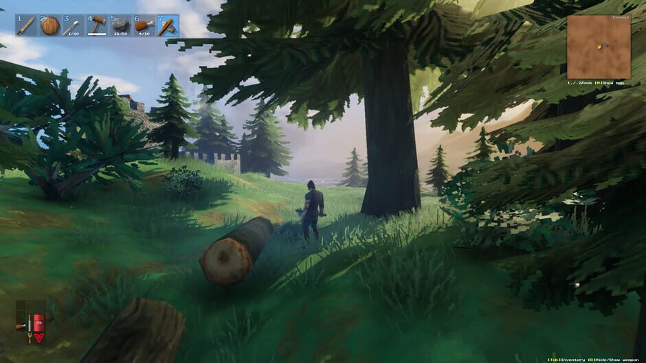 Screenshot from Valheim