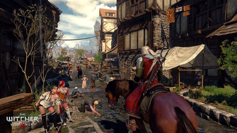 Screenshot from The Witcher 3: Wild Hunt