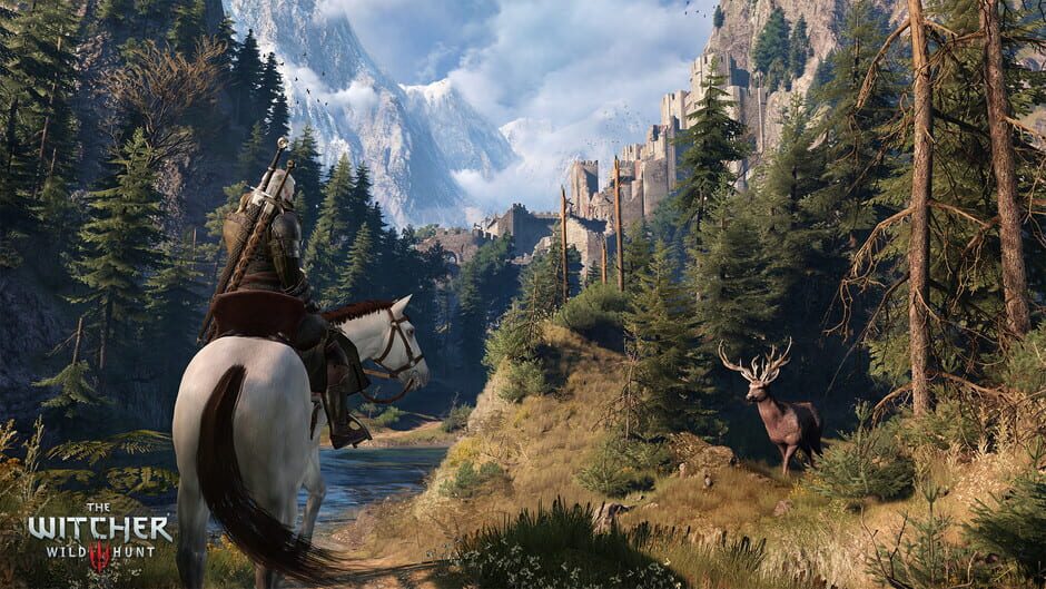 Screenshot from The Witcher 3: Wild Hunt
