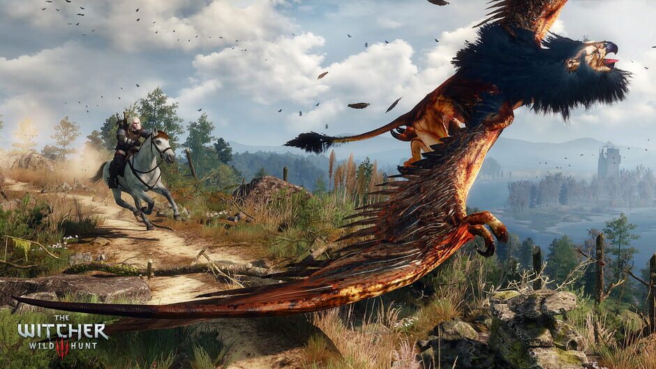 Screenshot from The Witcher 3: Wild Hunt