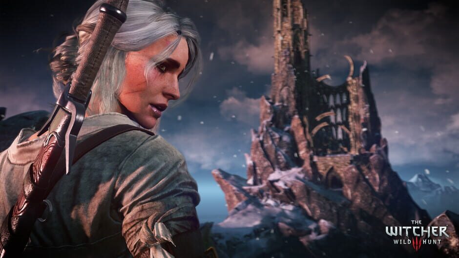 Screenshot from The Witcher 3: Wild Hunt