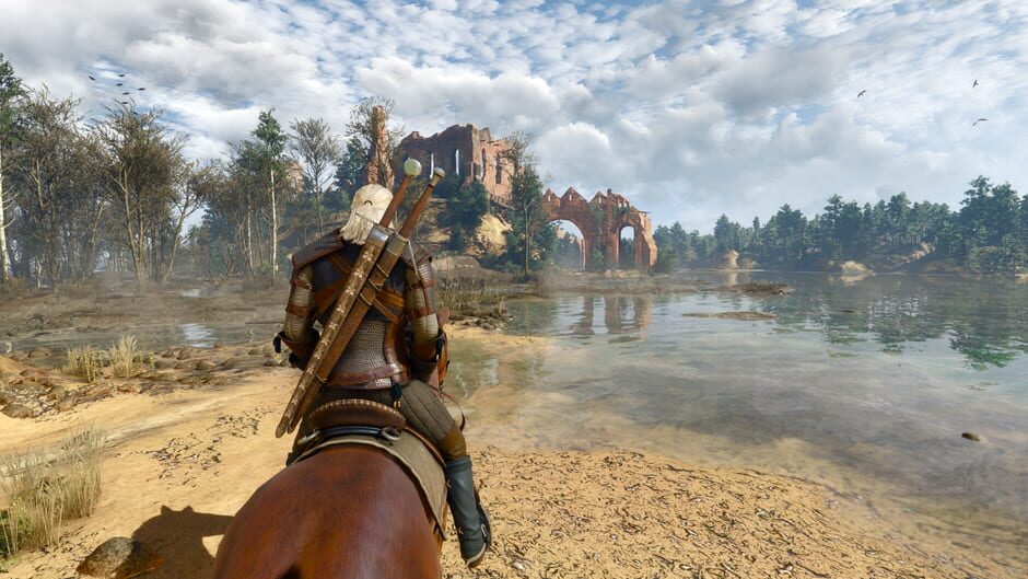 Screenshot from The Witcher 3: Wild Hunt