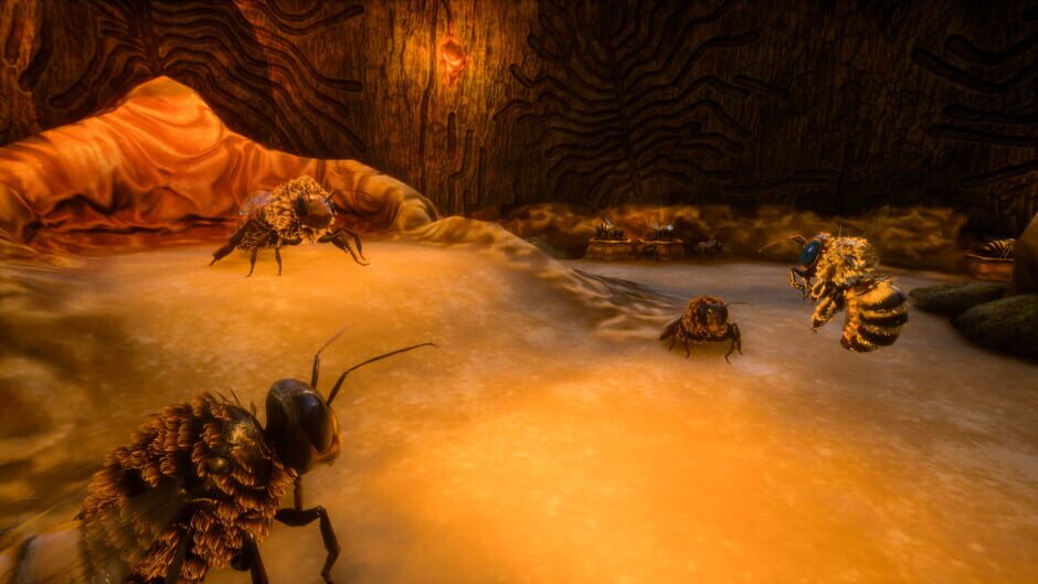 Screenshot from Bee Simulator