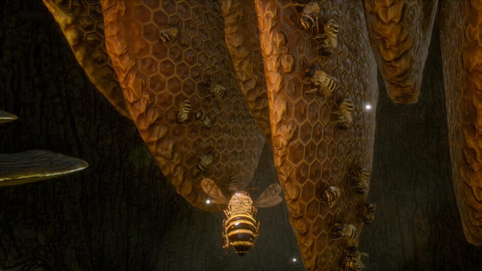 Screenshot from Bee Simulator