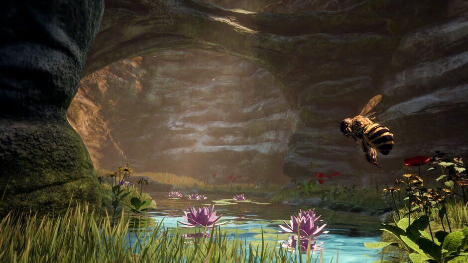 Screenshot from Bee Simulator