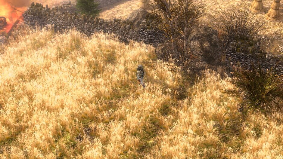 Screenshot from Grim Dawn