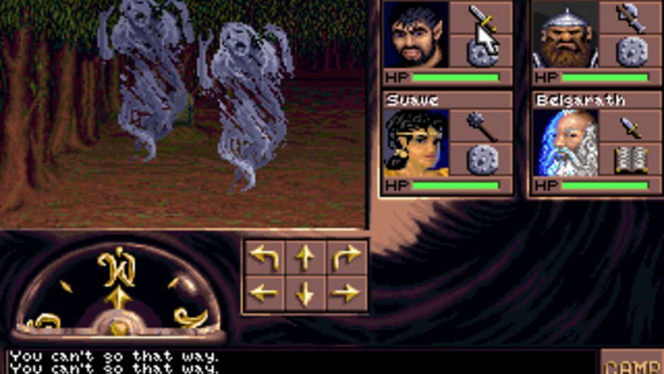 Screenshot from Eye of the Beholder III: Assault on Myth Drannor