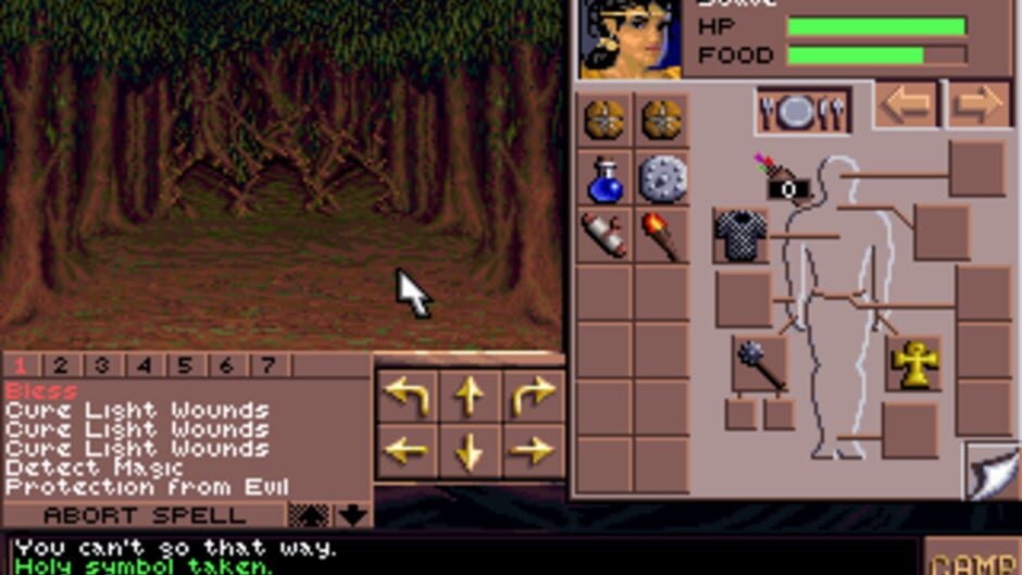 Screenshot from Eye of the Beholder III: Assault on Myth Drannor