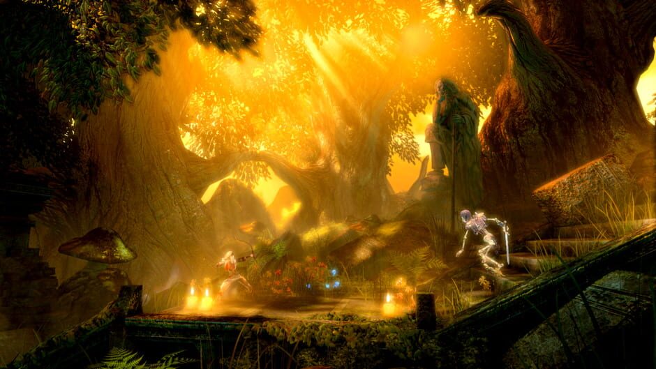 Screenshot from Trine Enchanted Edition