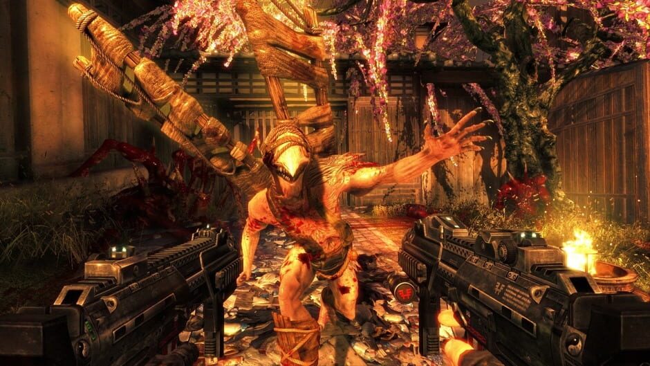 Screenshot from Shadow Warrior