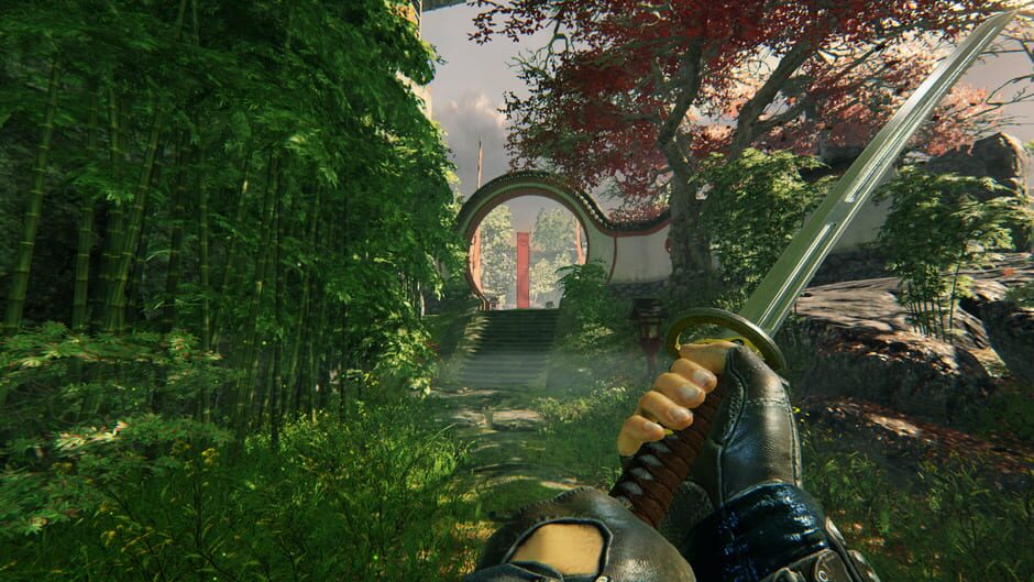 Screenshot from Shadow Warrior