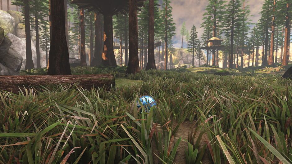Screenshot from InFlux