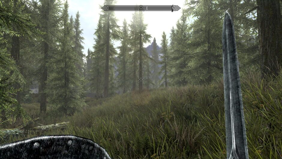 Screenshot from The Elder Scrolls V: Skyrim