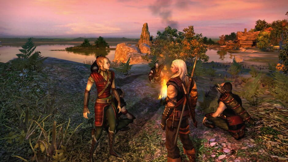Screenshot from The Witcher: Enhanced Edition