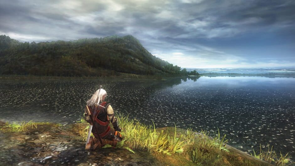 Screenshot from The Witcher: Enhanced Edition