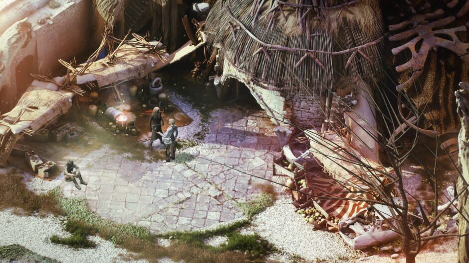 Screenshot from Beautiful Desolation