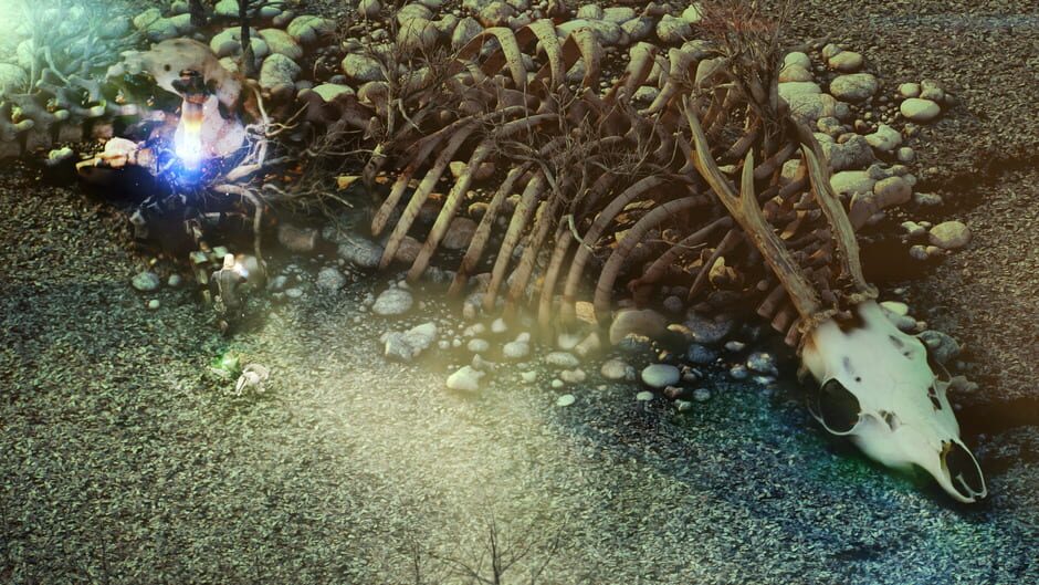 Screenshot from Beautiful Desolation