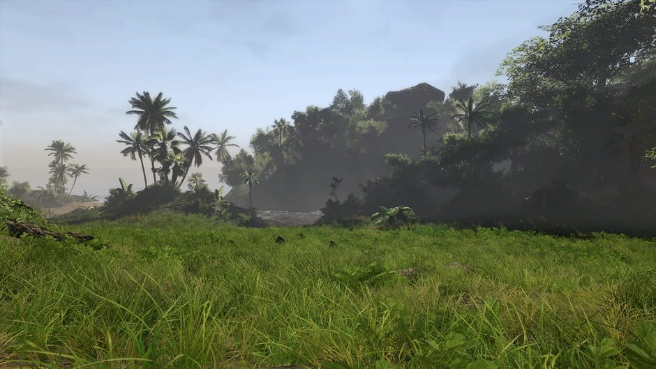Screenshot from Risen 2: Dark Waters
